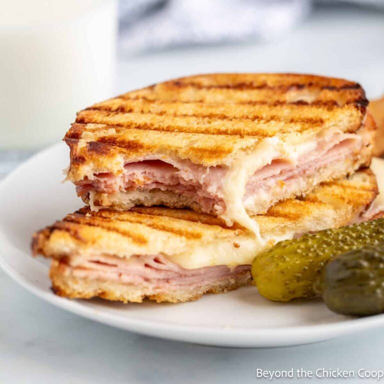 Ham-and-Swiss-Panini